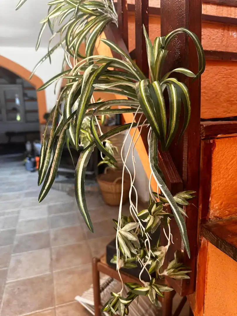 Finca rústica en venta en Maçanet de la Selva con Calefacción, Jardín privado y Terraza