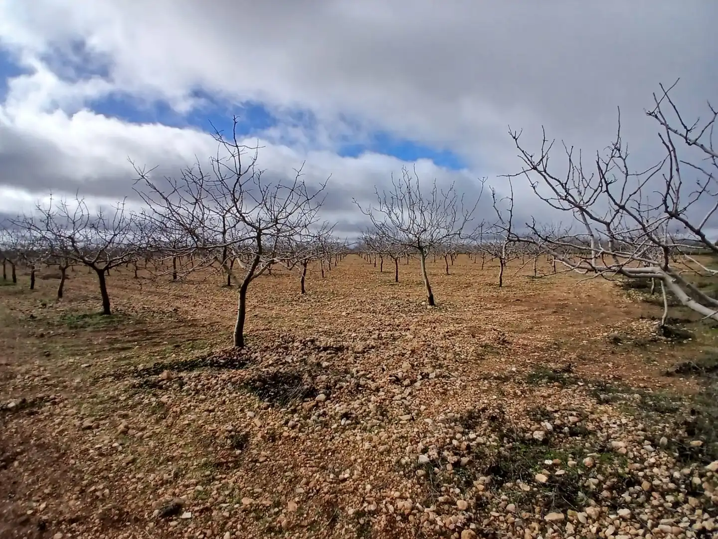 Rural land for sale in Carretera Solana, imagen 33
