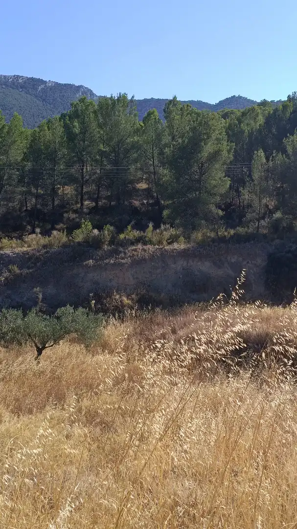 Finca rústica en venta en Tibi con Jardín privado y Terraza