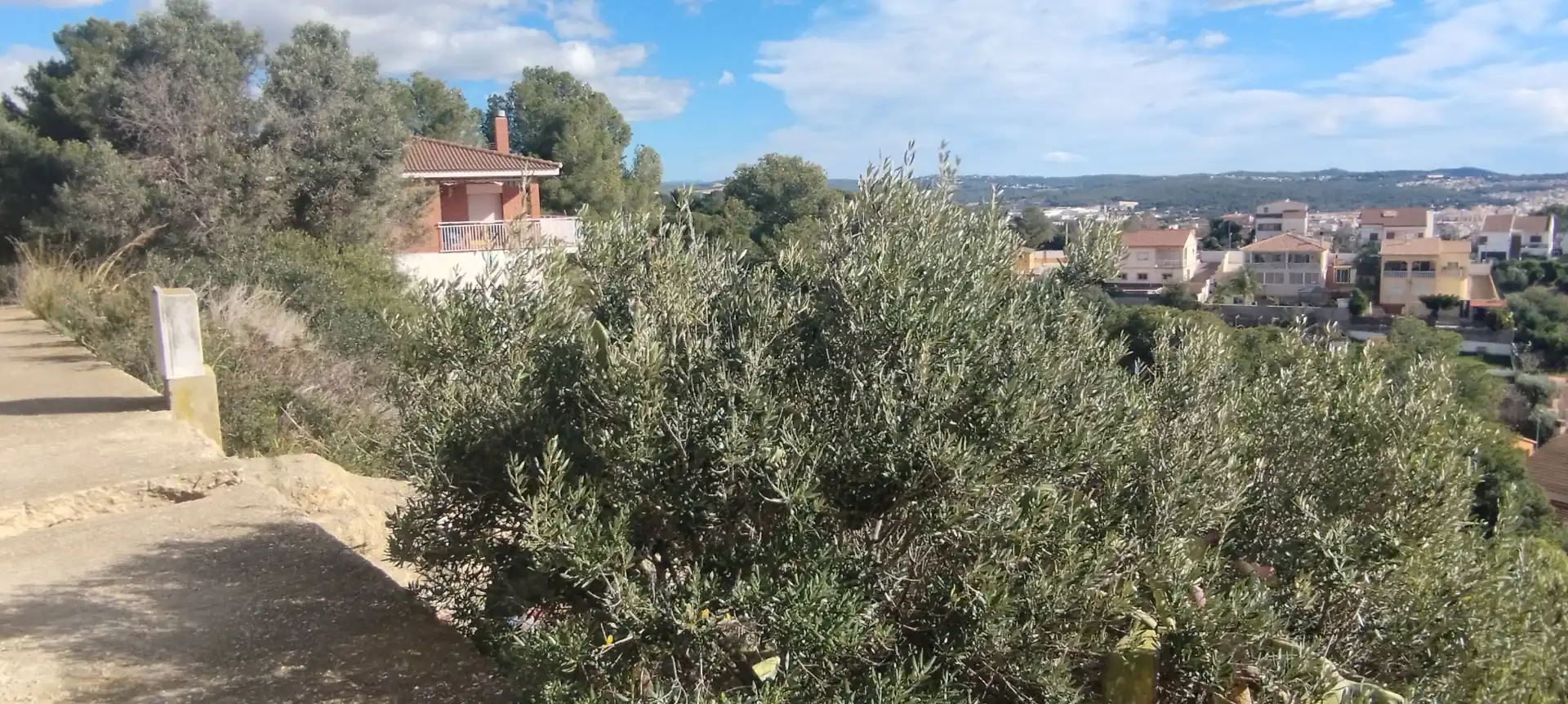 Terreny residencial en venda a Carrer Jacint 19