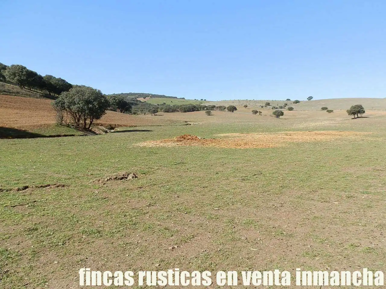 Terreno en venta en Almuradiel