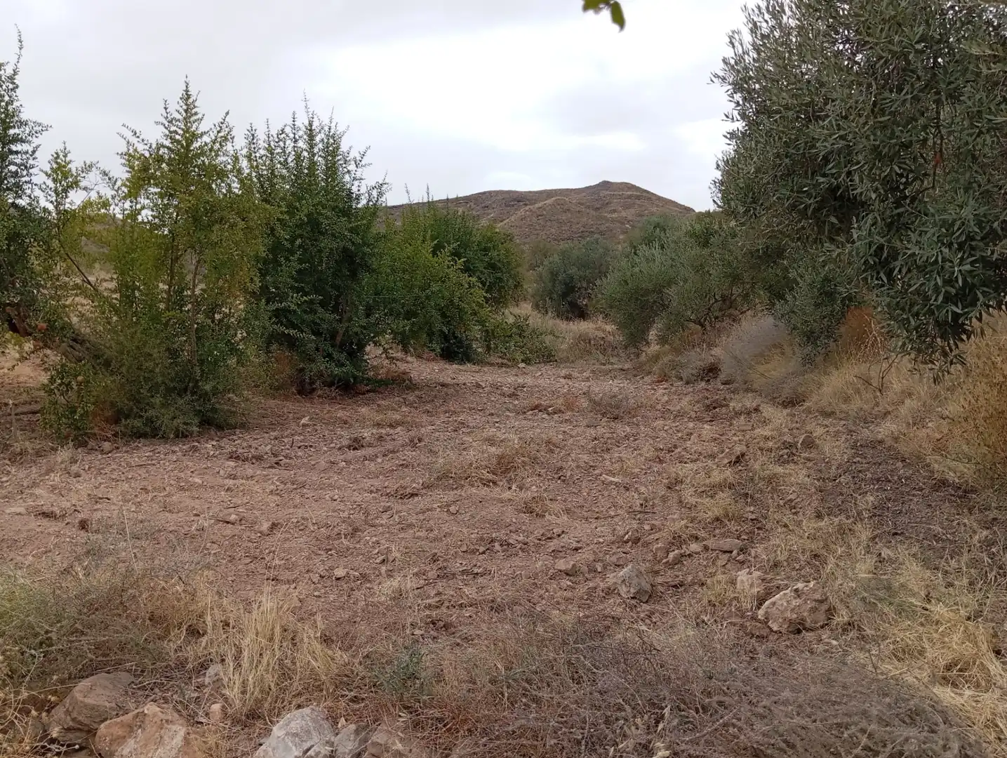Terreni e lotti in vendita a Bolnuevo, imagen 27