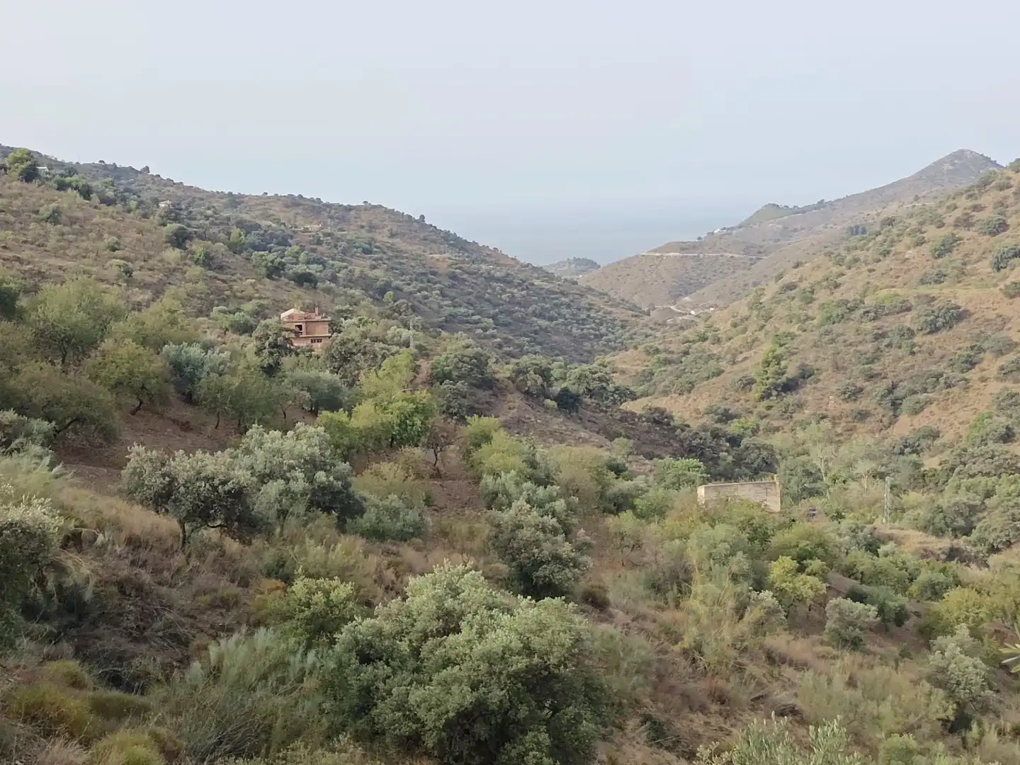 Terreni e lotti in vendita a Este, imagen 5
