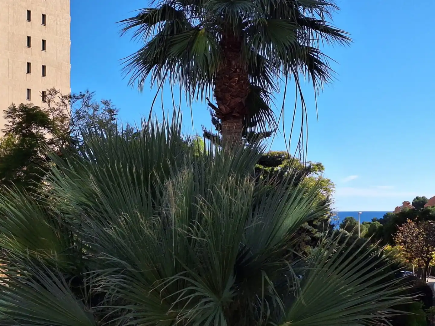 Jardín de Apartamento en venta en Calpe / Calp con Aire acondicionado, Trastero y Piscina