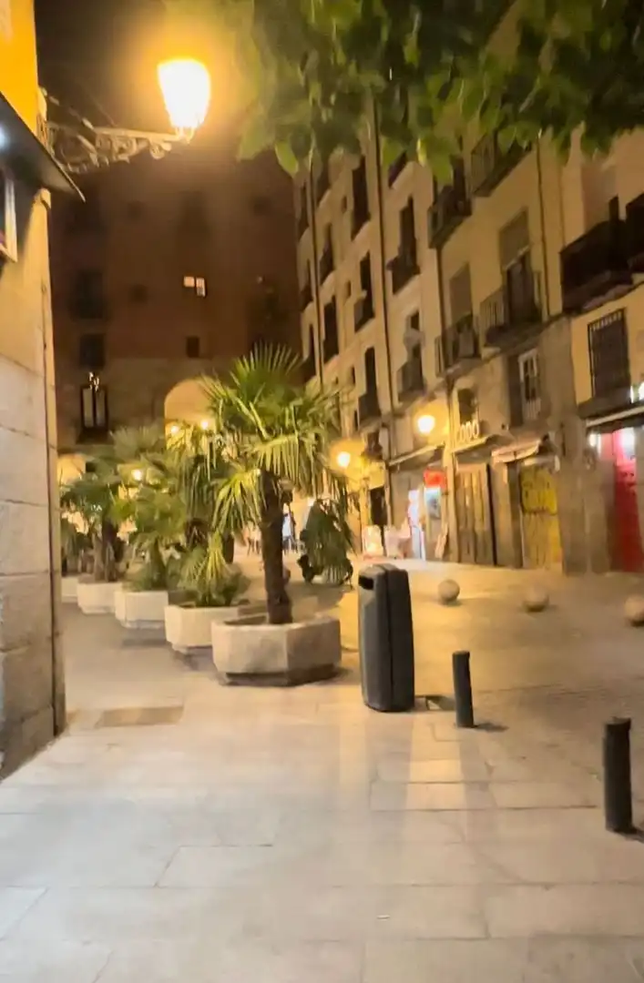 Wohnung mit Aufzug zum Verkauf in Calle de la Cava Baja, imagen 26