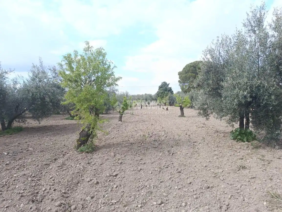 Wohnbaugrundstück zum Verkauf in Gójar, imagen 11