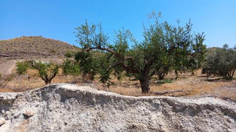 Foto 4 von Grundstücke zur Miete in Diseminado el Charcon, 21, Tébar - Los Arejos, Águilas