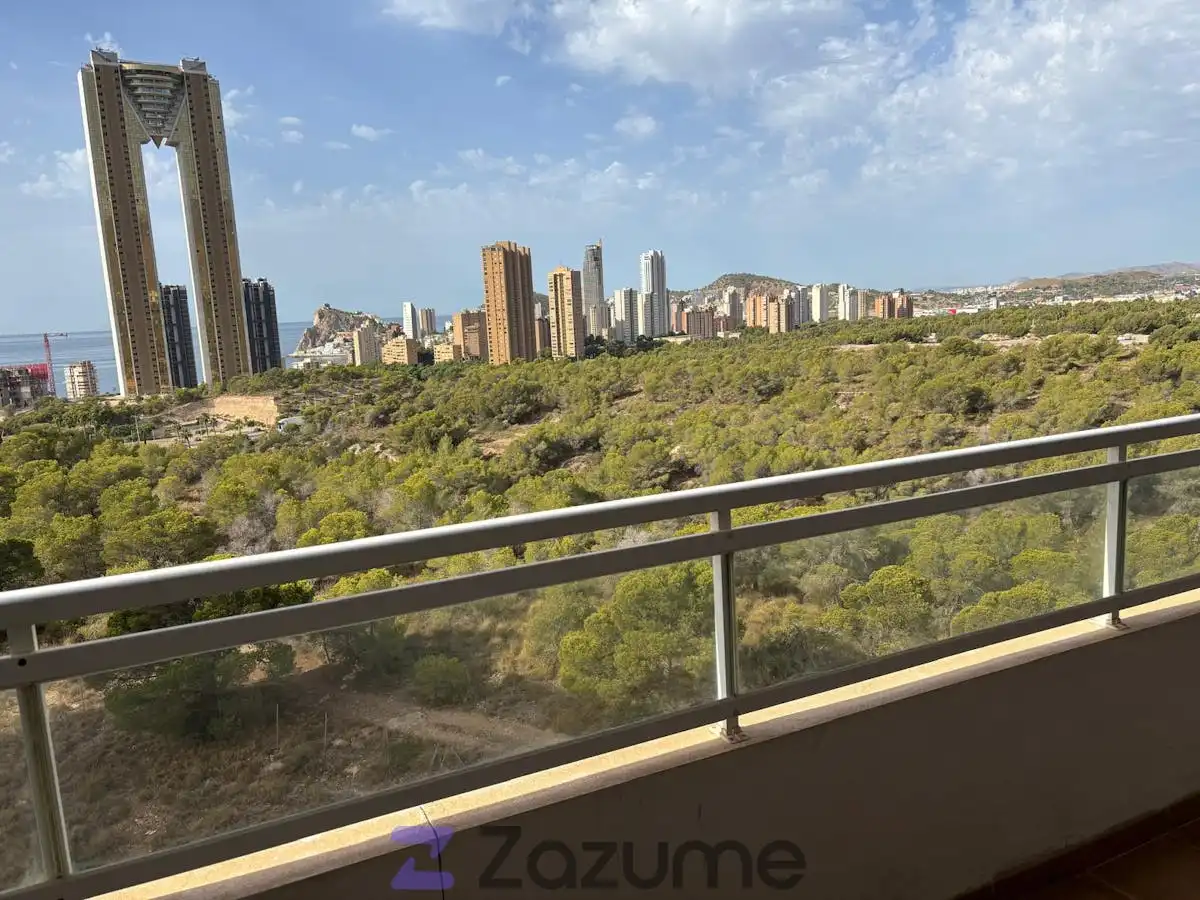 Wohnung mit Pool zur Miete in Calle Pdte. Adolfo Suárez, imagen 44