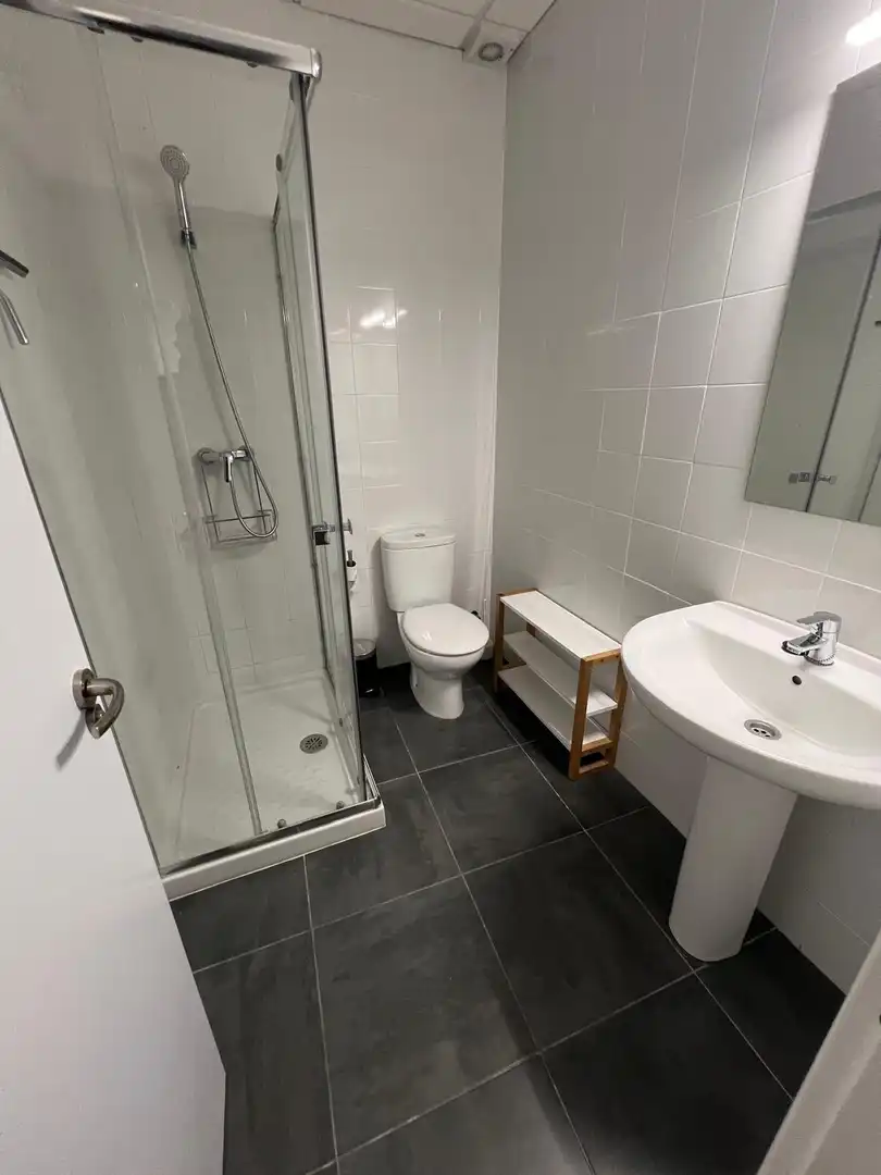 Flat to rent in Casco Antiguo, imagen 12