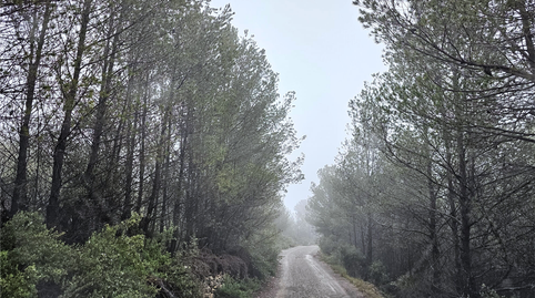 Foto 4 de Residencial en venda a Proc. Simplificado, Altura, Castellón