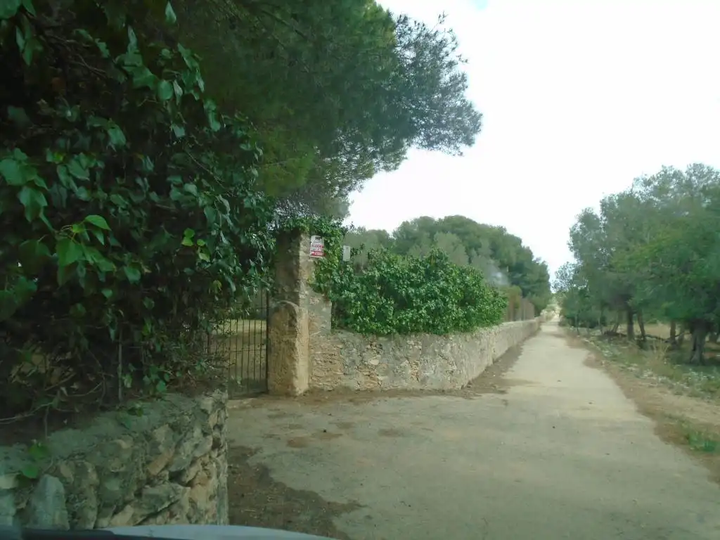Rustikales Grundstück zum Verkauf in Paraje del Moro, imagen 18
