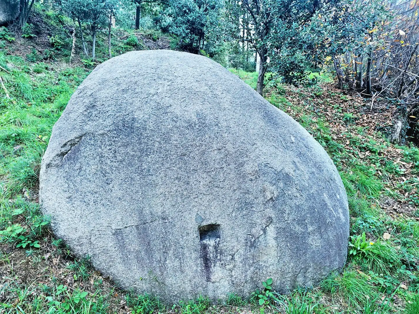Casa rústica amb jardí en venda a Riells i Viabrea, imagen 37