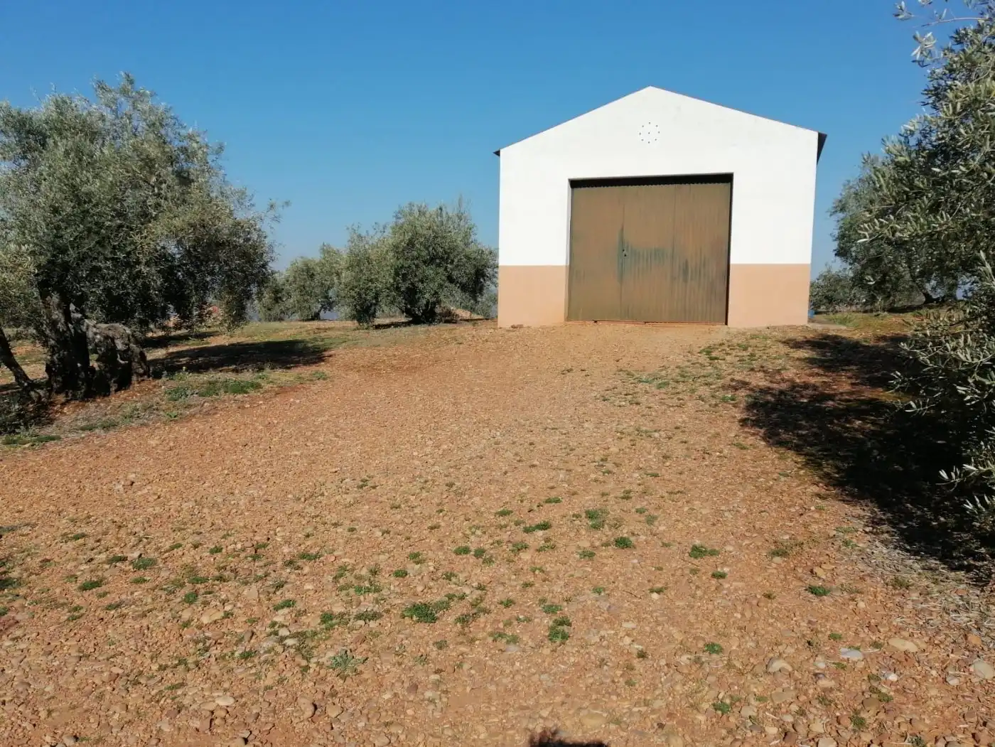 Casa amb jardí en venda a Montoro, imagen 49