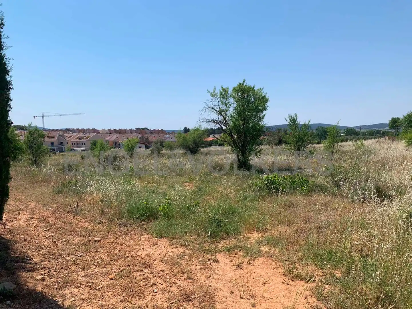 Terreny rústic en venda a Requena, imagen 4