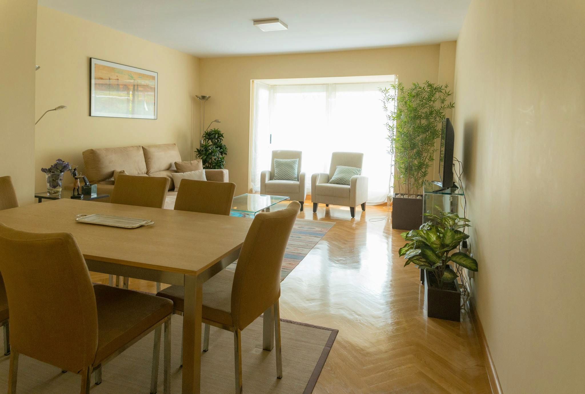 Sala d'estar de Pis de lloguer en  Madrid Capital amb Aire condicionat, Calefacció i Jardí privat