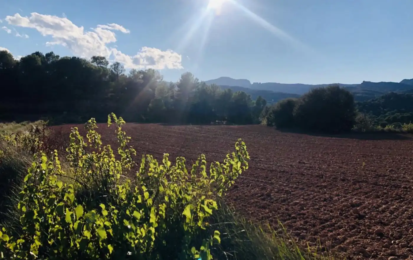 Finca rústica en venta en Camino Vall de Maria, Sant Llorenç Savall