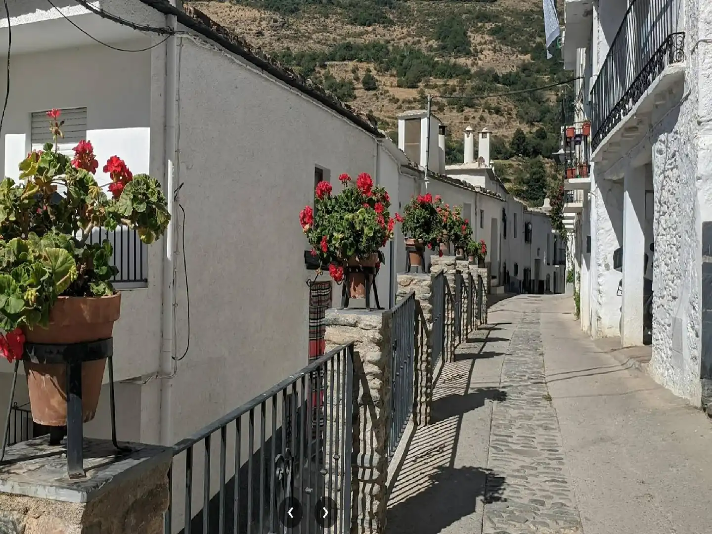 Vista exterior de Casa o chalet en venta en Trevélez