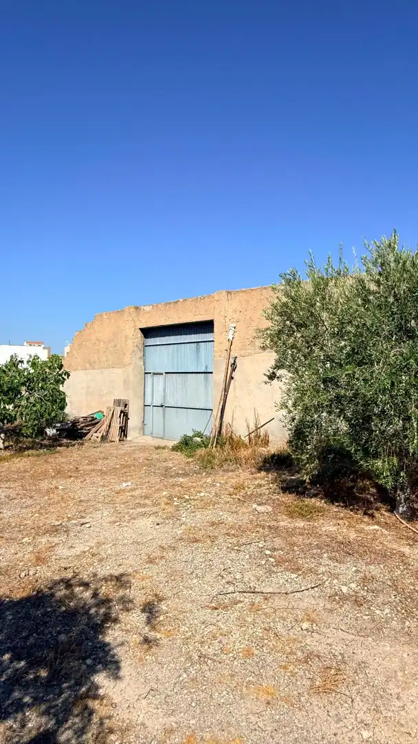 Vista exterior de Casa o xalet en venda en Albox amb Jardí privat
