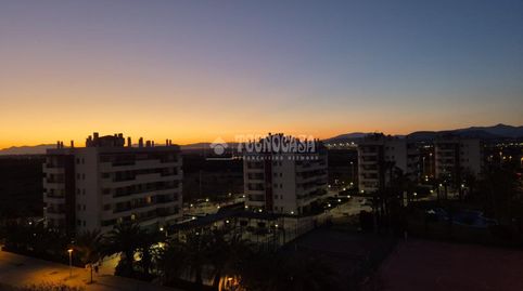 Foto 4 de Piso en venta en Palmeral, Alicante / Alacant