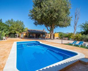 Piscina de Casa o xalet de lloguer en Sax amb Piscina