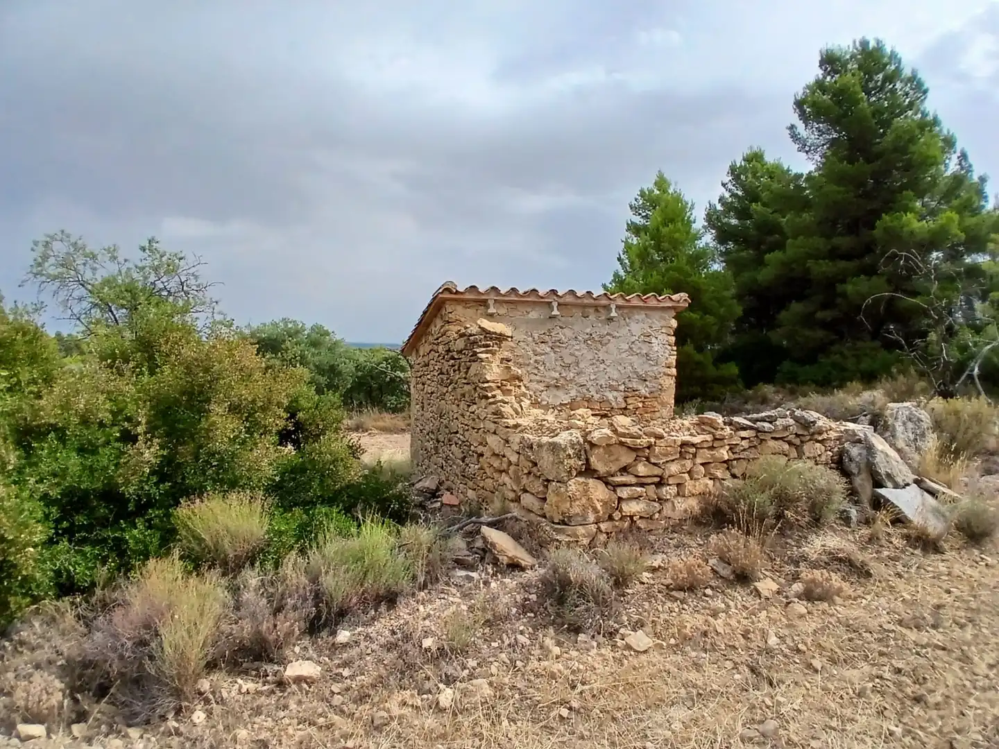 Terreno rustico in vendita a La Fresneda, imagen 2