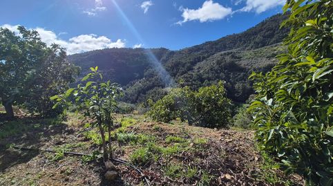 Foto 2 de Finca rústica en venta en Yunquera, Málaga