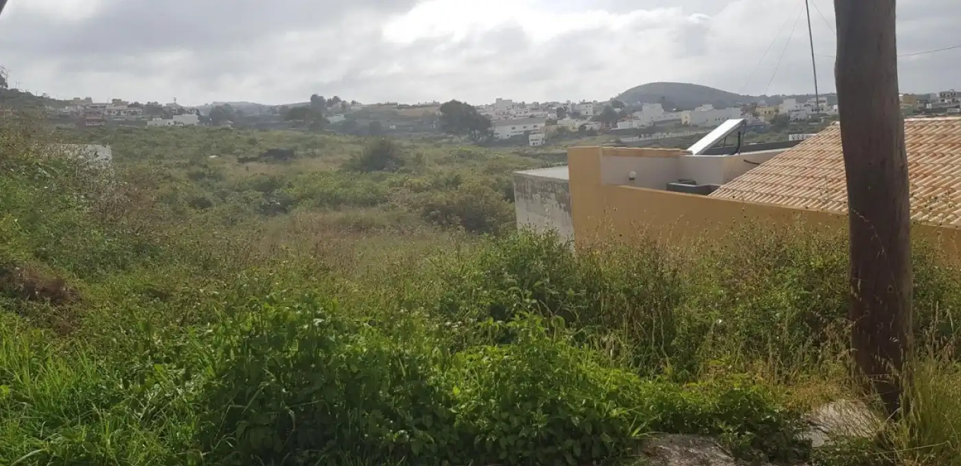 Terrenys i solars en venda a Firgas