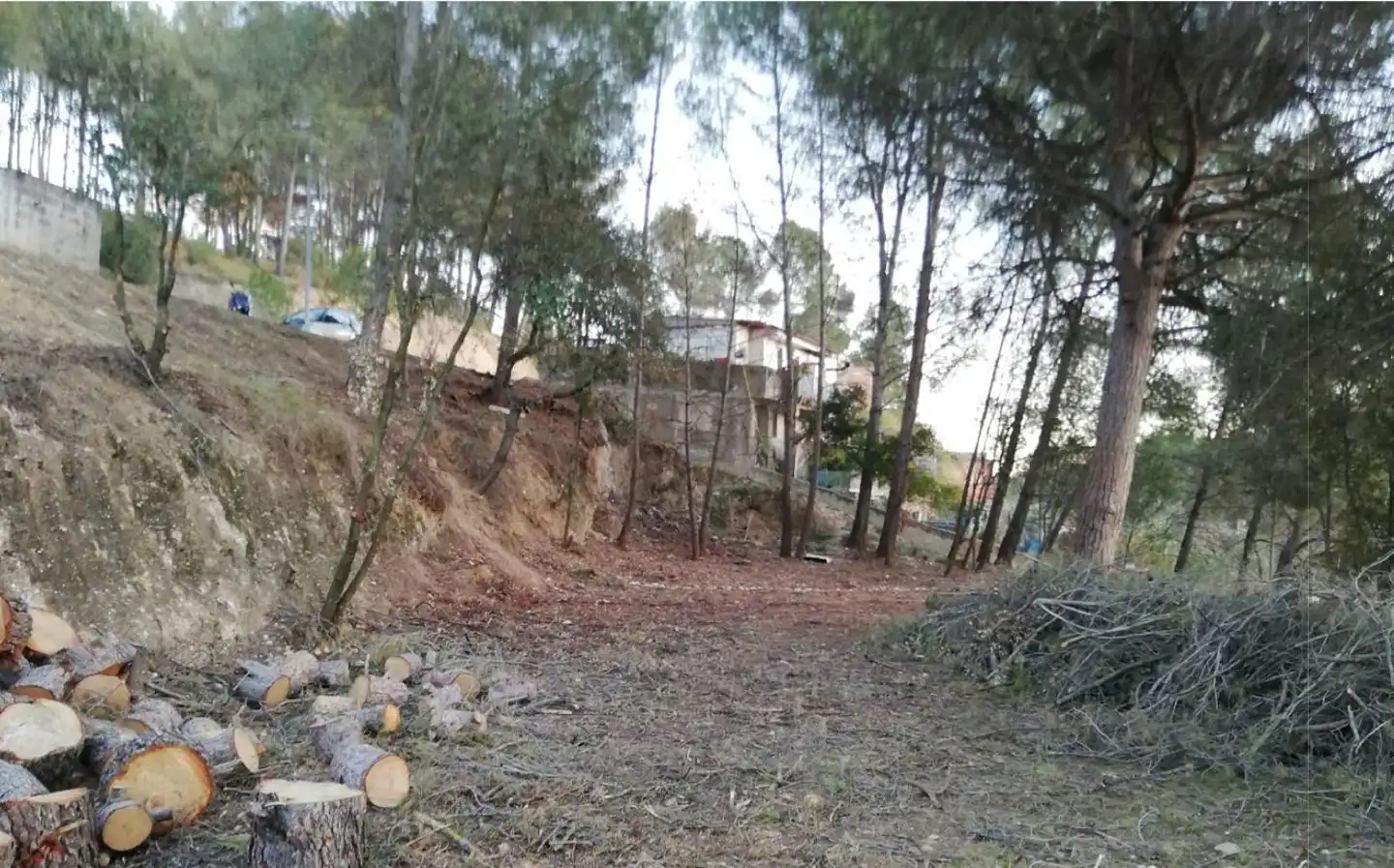 Terrenys i solars en venda a Carrer dels Segadors 62
