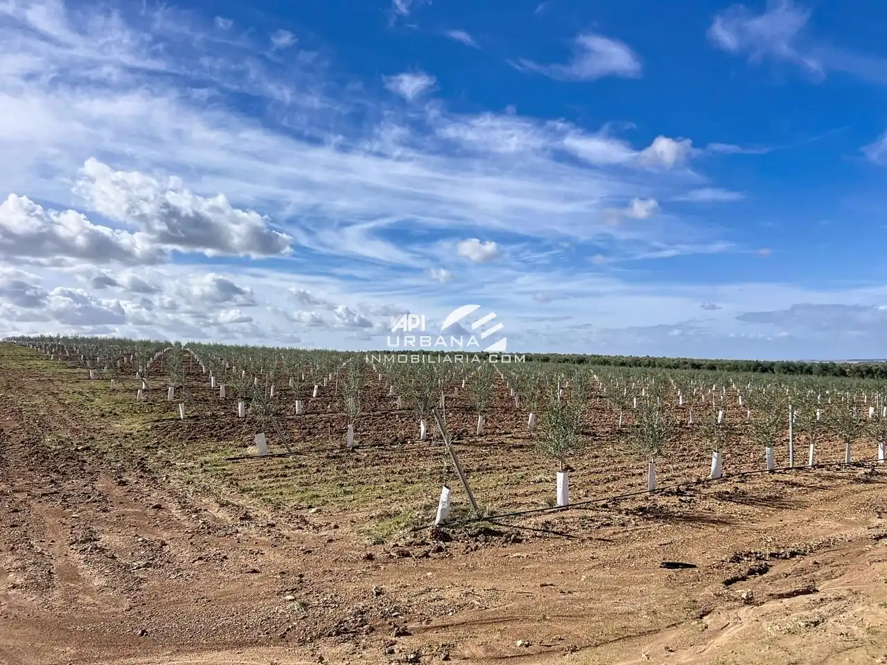 Rustikales Grundstück zum Verkauf in Marchena, imagen 2