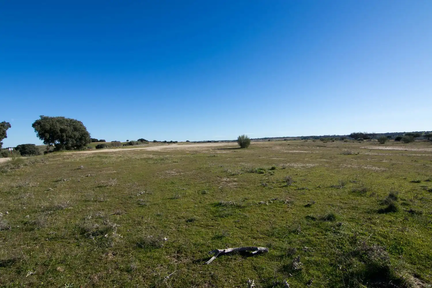 Rural land for sale in Villamanta 0, imagen 11
