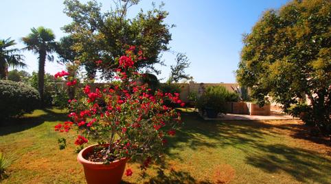 Photo 2 of House or chalet for sale in Carretera de las Peñas, 16, San Pedro, Albacete