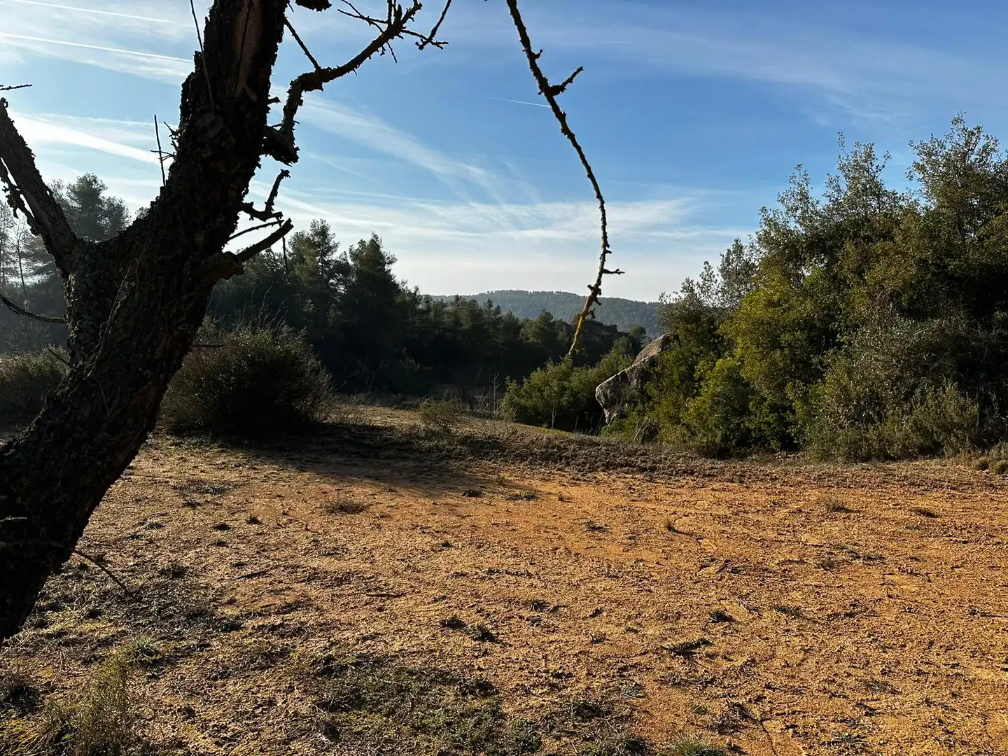 Rural land for sale in Cervià de Les Garrigues, imagen 6