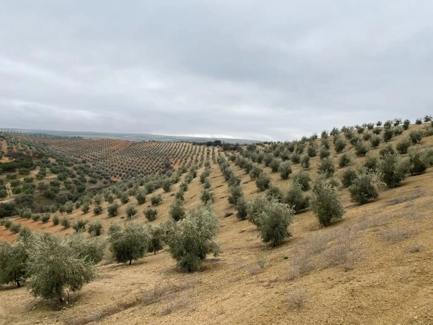 Casa rustica in vendita a Huétor Tájar, imagen 3