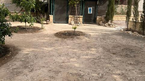 Foto 3 de Finca rústica en venda a Partida del Boch, 69, Crevillent, Alicante