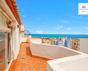 Vista exterior de Àtic en venda en Torrevieja amb Aire condicionat, Calefacció i Jardí privat