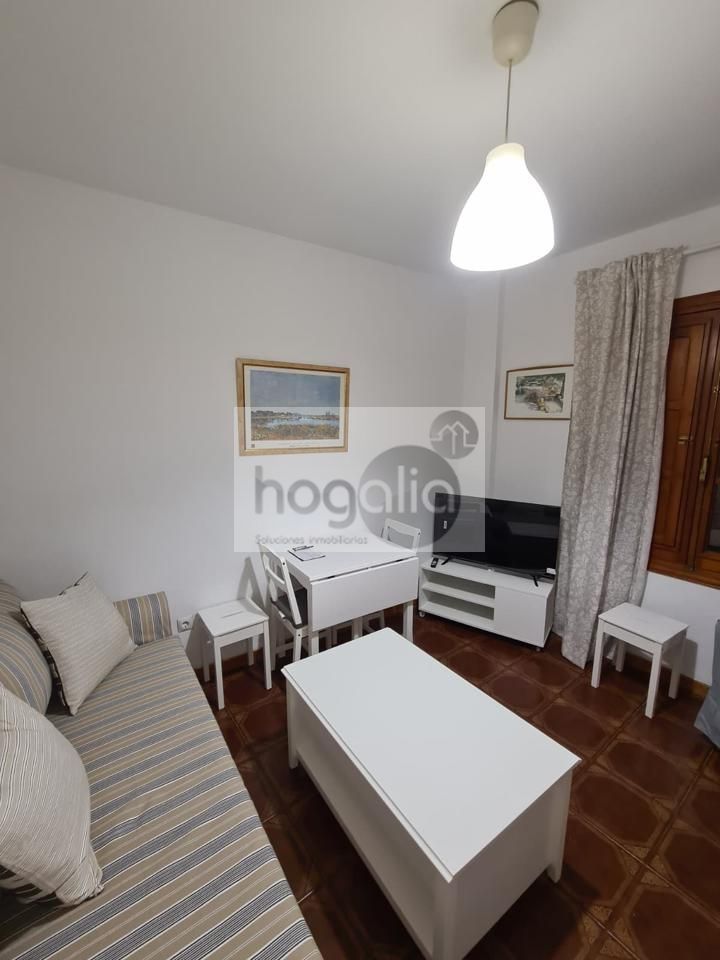 Sala d'estar de Planta baixa de lloguer en  Sevilla Capital amb Aire condicionat i Moblat