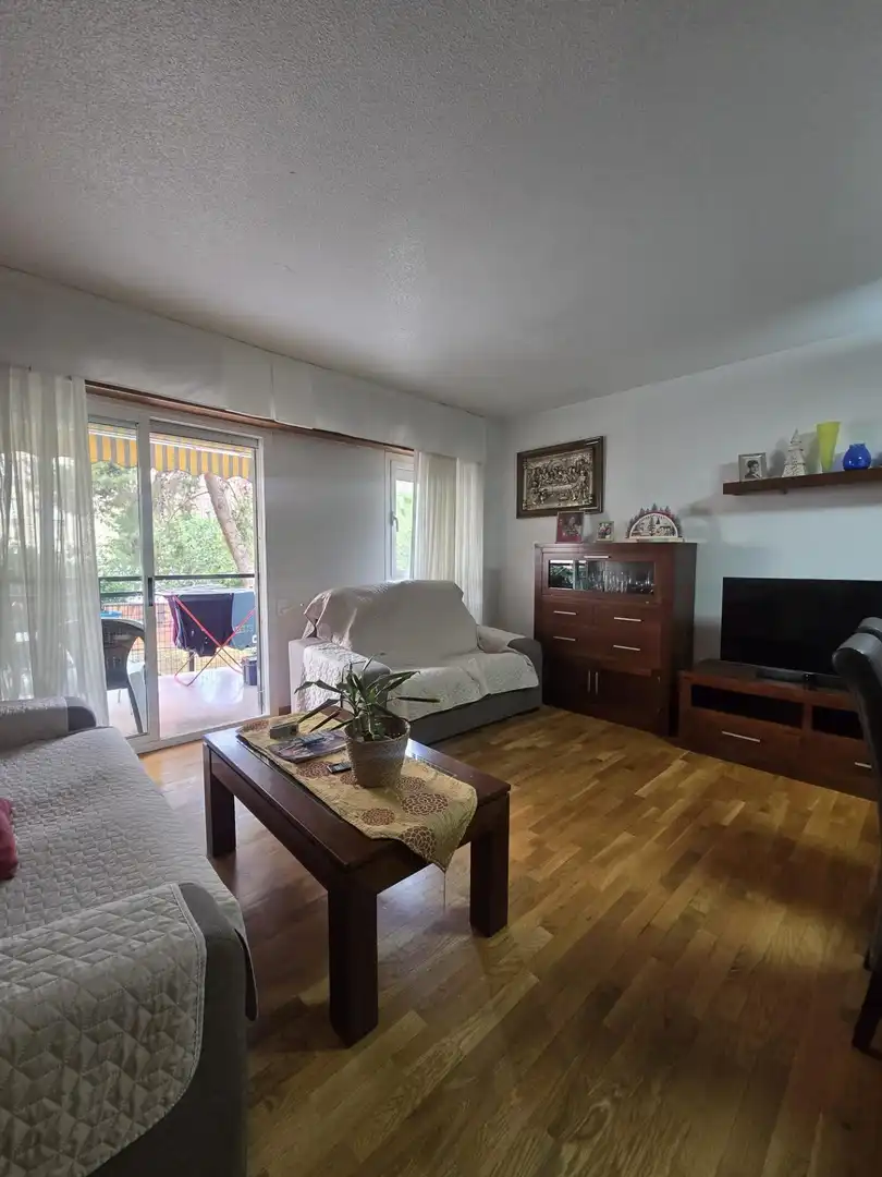Appartamento con terrazza in vendita a Calle Calle Vicente Aleixandre, imagen 3