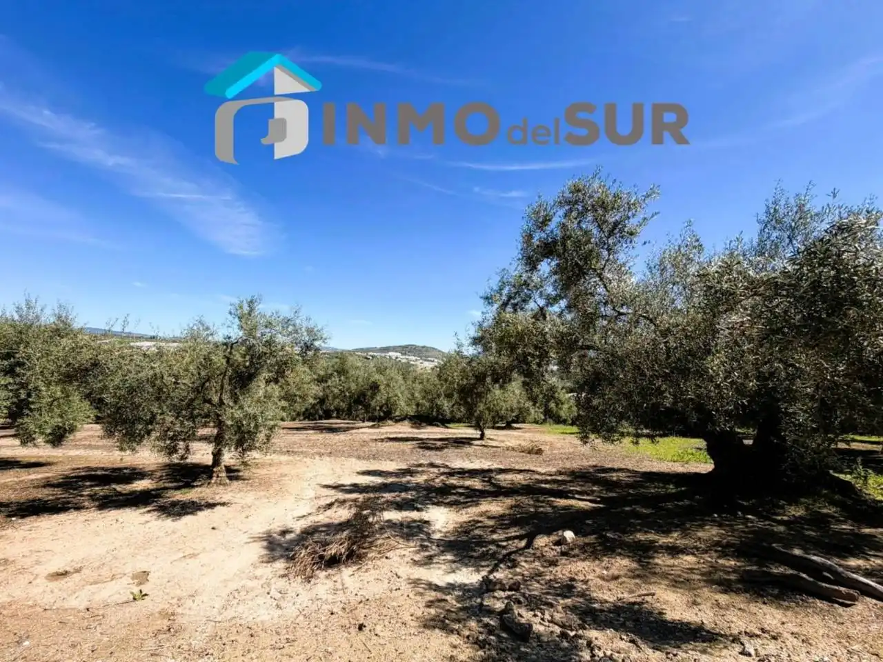 Terreno rustico in vendita a Carretera Lucena-Doña Mencía, imagen 13
