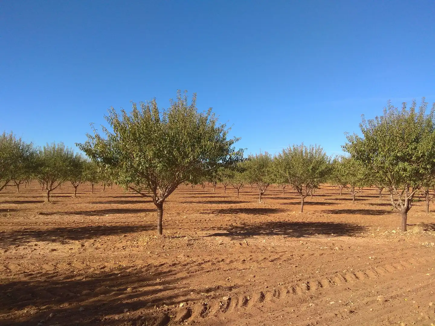 Terreni e lotti in vendita a Las Mesas, imagen 7