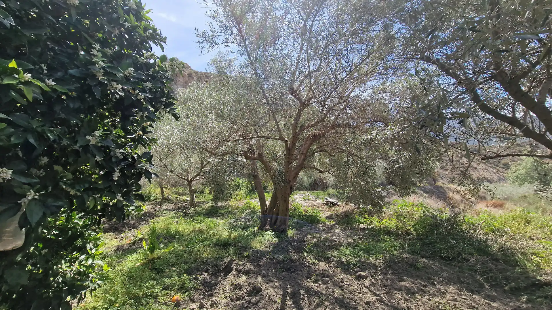 Finca rústica en venda en Canjáyar amb Jardí privat i Moblat