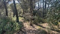 Residential zum verkauf in Camí del Moliner, 59, Matadepera, imagen 1