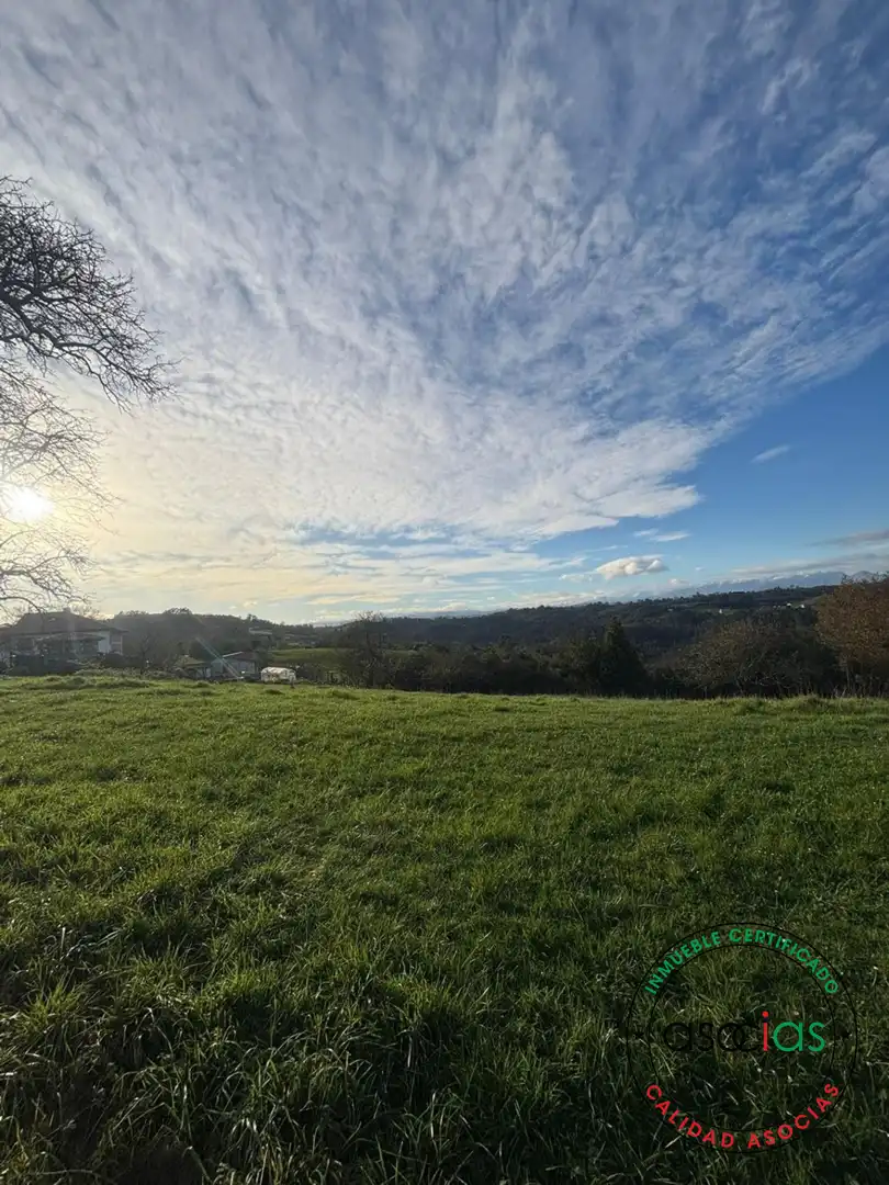 Land for sale in Siero