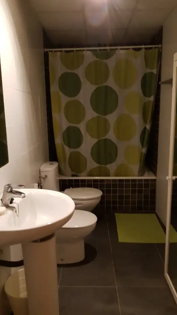 Bathroom of Attic for rent in Málaga  with Air Conditioner, Heating and Terrace
