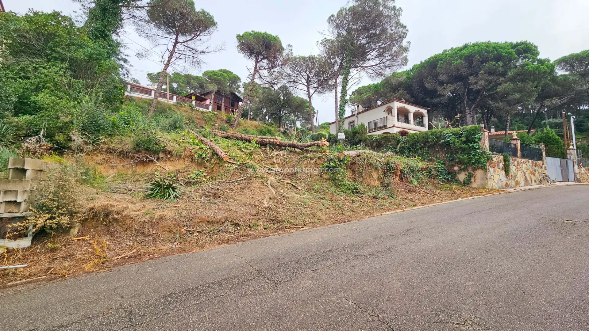 Terreny residencial en venda a Carrer Alzina 72, imagen 6
