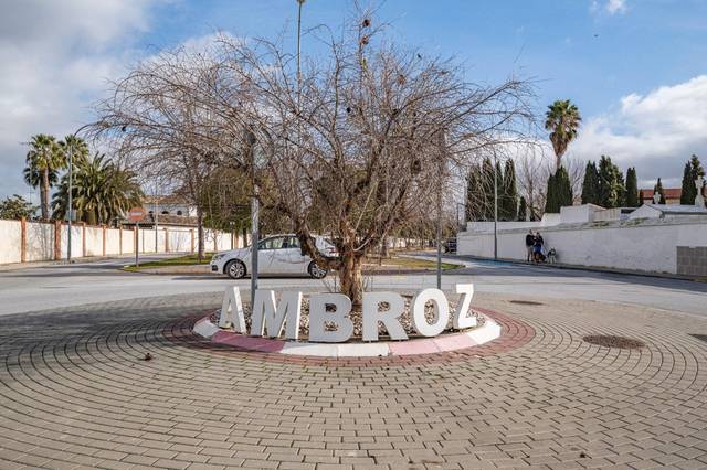 Casa-chalet en Venta en Avenida Avenida San Antón en Ambroz