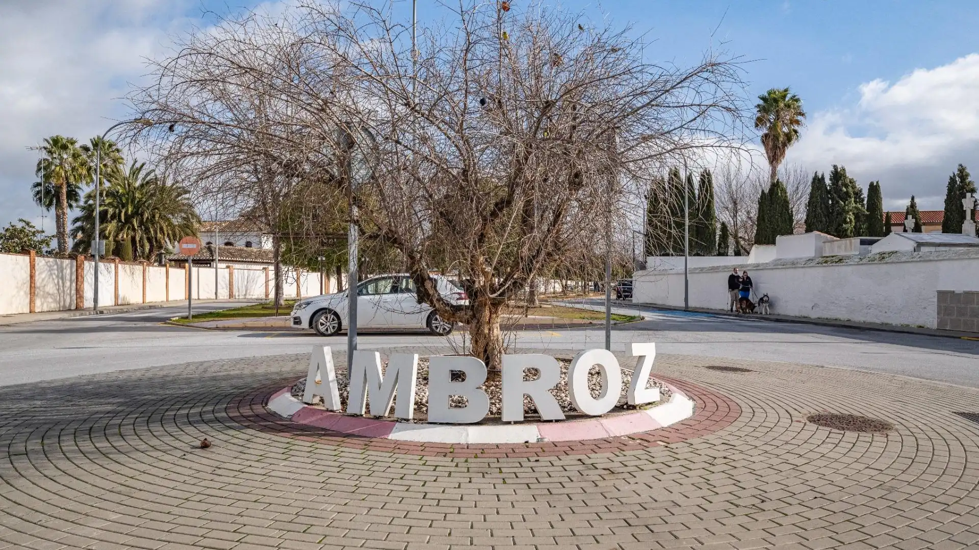 Casa o chalet en venta en Vegas del Genil