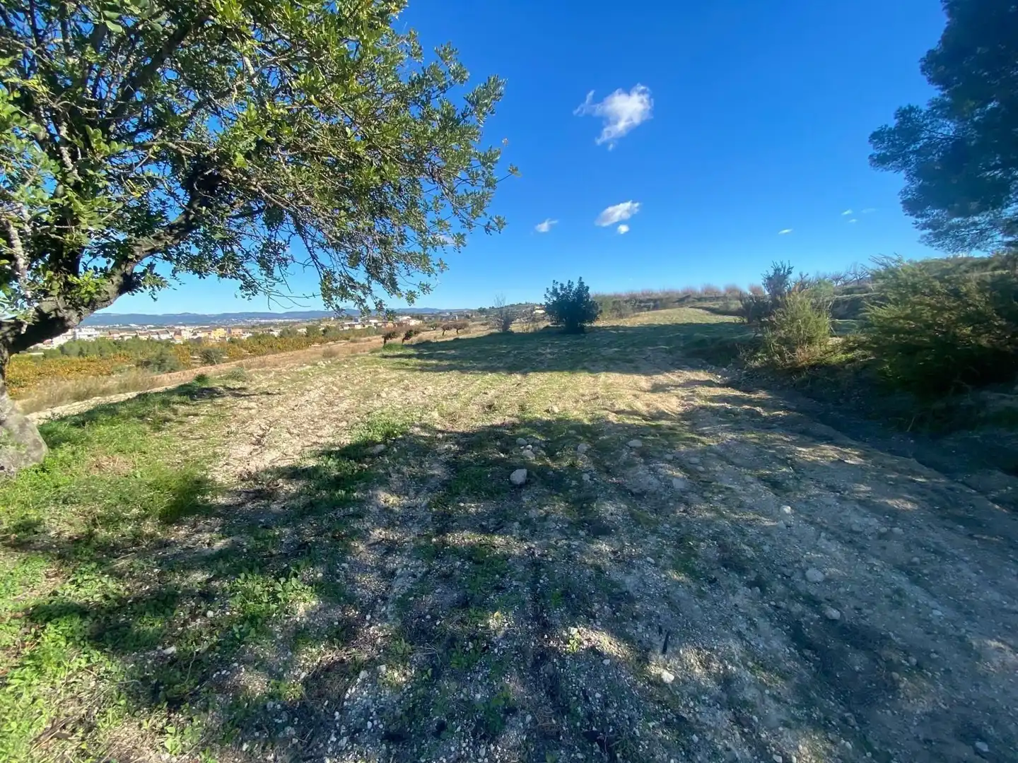 Terreno rustico in vendita a Albaida, imagen 3