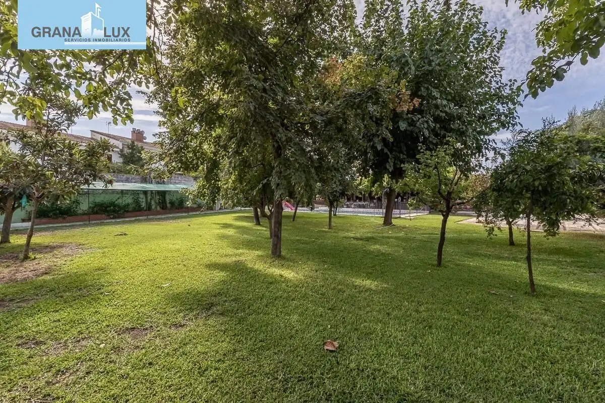 Casa con piscina en venta en Calle del Caño el Palo, imagen 7