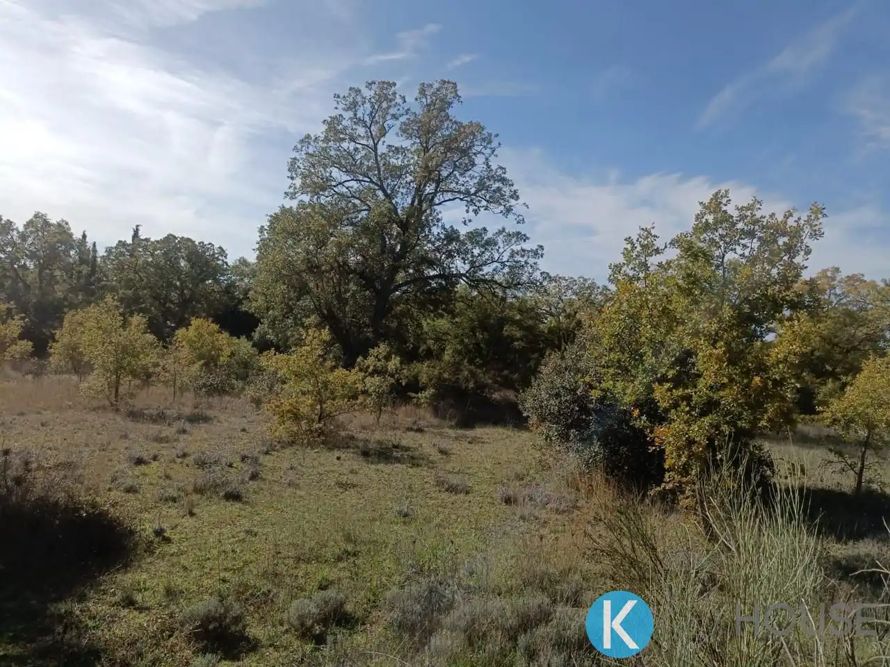 Land for sale in Pastrana