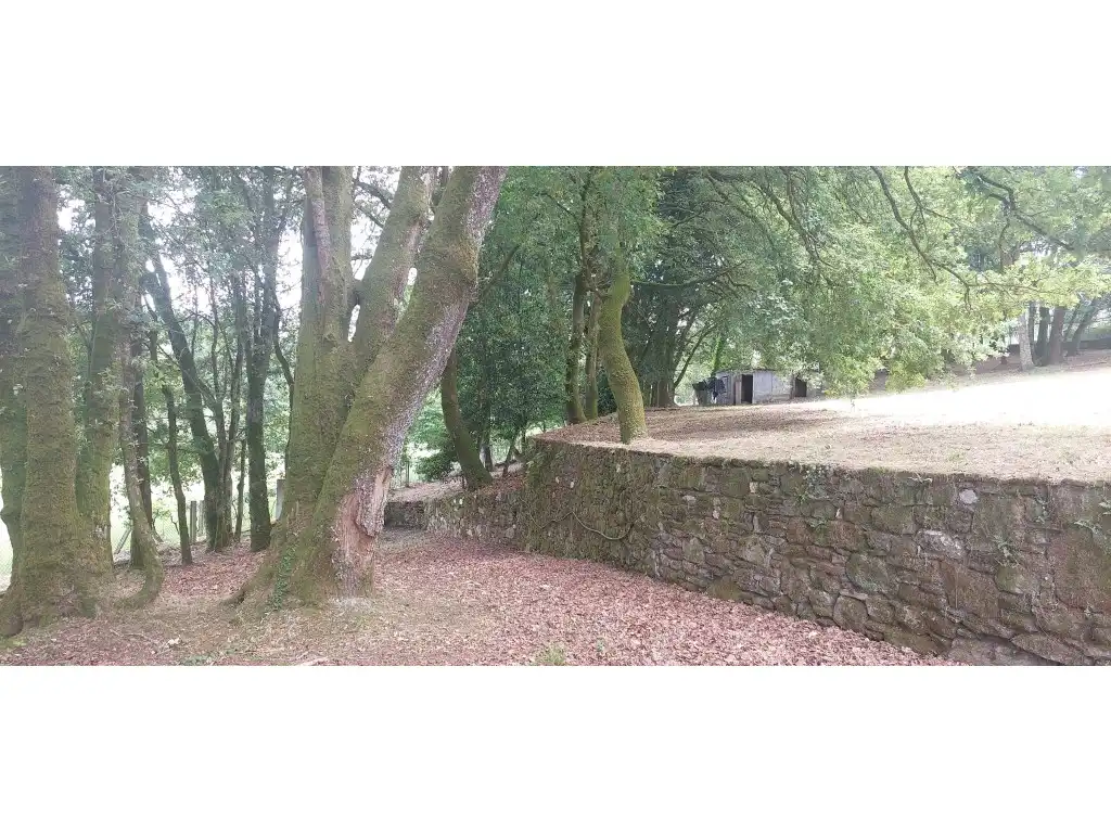 Casa o chalet en venta en Silleda